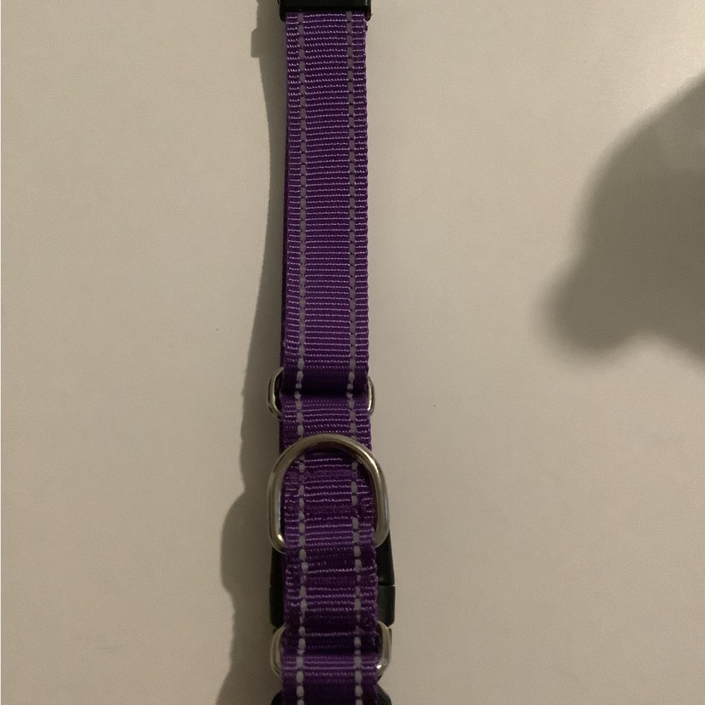 Dog collar - Picture 3 of 5